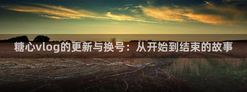 糖心vlog所有影片:糖心vlog的更新