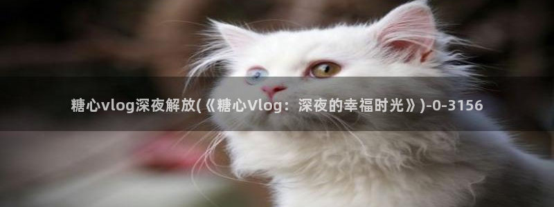 安安糖心vlog视频:糖心vlog深夜解